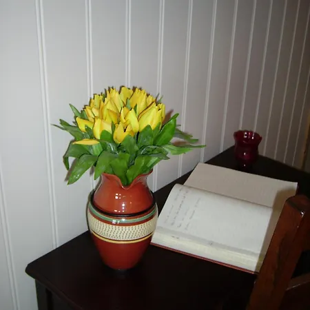 Rorosvidda 3* Røros