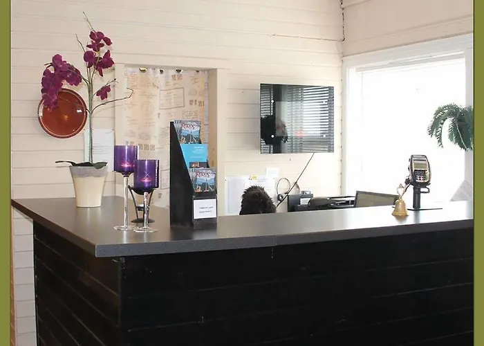 Rorosvidda Hotel Røros